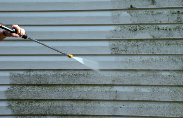 Best Sidewalk and Walkway Cleaning  in Santa Cruz, CA